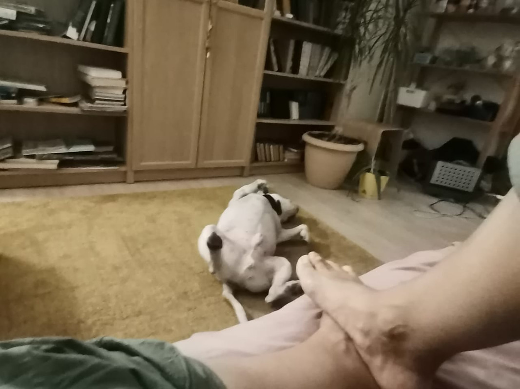 1457E5F0-5398-4C33-AB76-729C6D169637