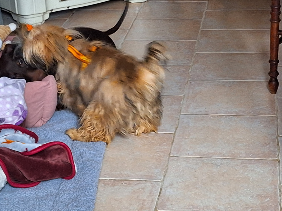 [Image: 20240103-131403.jpg]