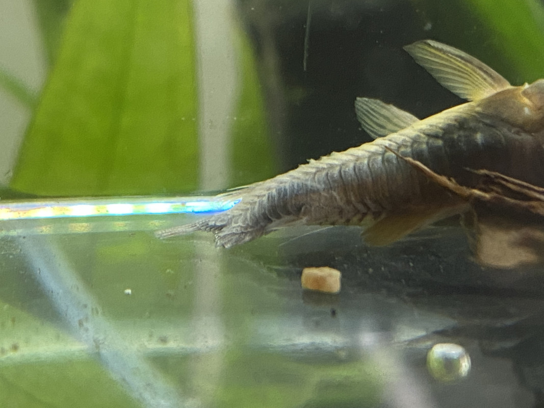 0EC4CE37-01F5-427E-8CDA-6610F2FE2844