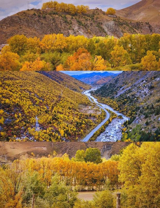 da99dda21fc521f51d6727e973b1179f