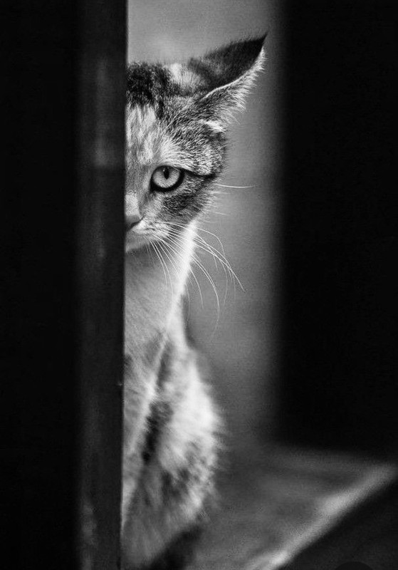 Screenshot_20231201_004303_Pinterest