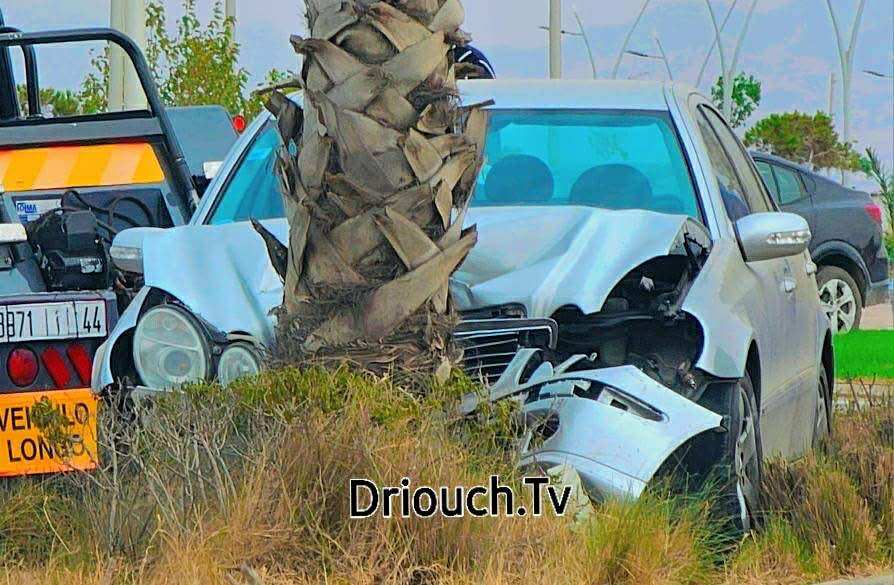 536492793-798159579296656-6091392875238221640-n