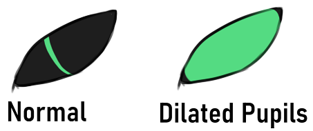 Eyes.png