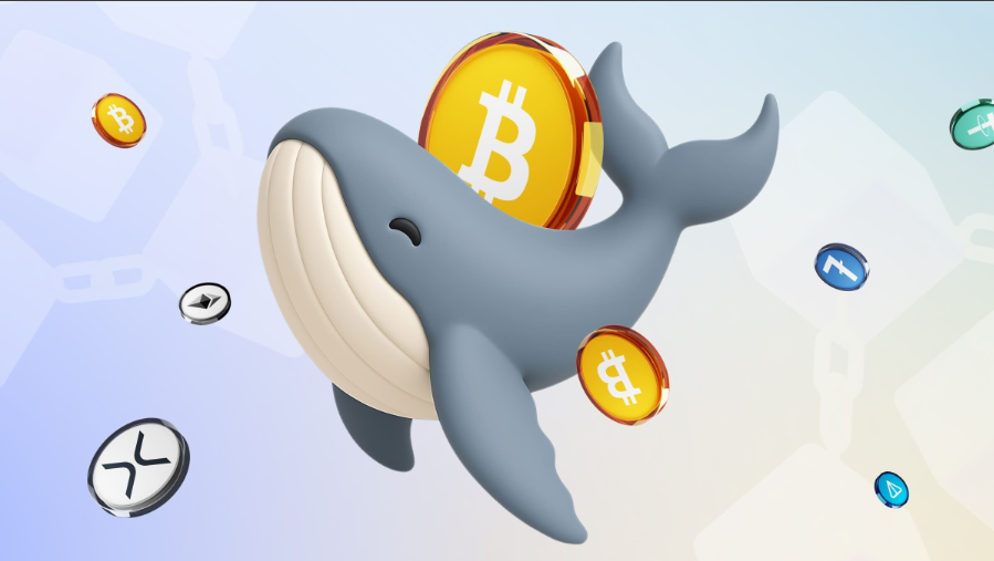 card image Криптовалютные Киты: влияние на рынок цифровых активов крупных биржевых игроков