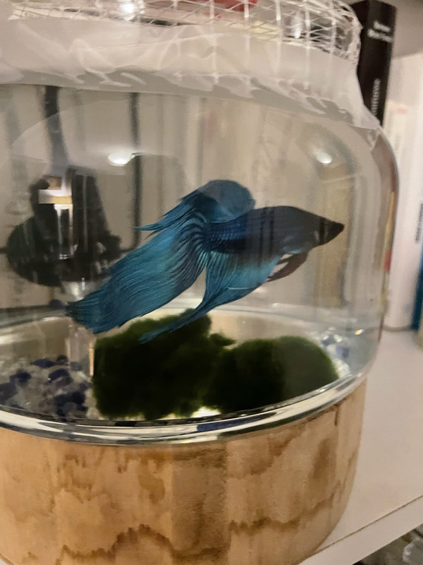 429009CA-D377-4524-B32B-5886081E91C8