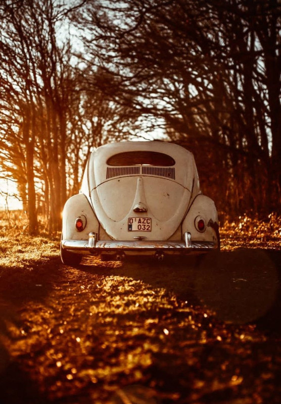 Screenshot_20231112_155451_Pinterest