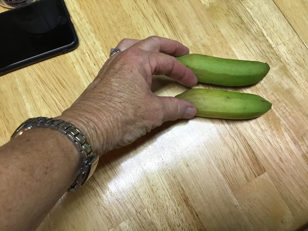 B1712167-44CE-42DD-8793-812E44DE87BE