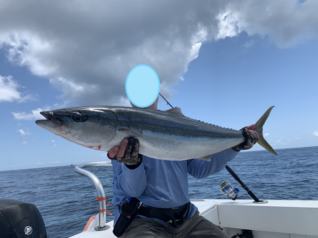 IMG_026636 (Conflicto de mayúsculas y minúsculas)