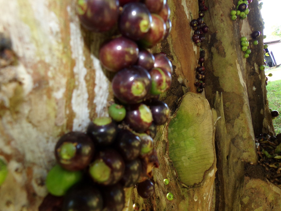 WhatsApp Image 2020-12-20 at 00.58.58 (13)