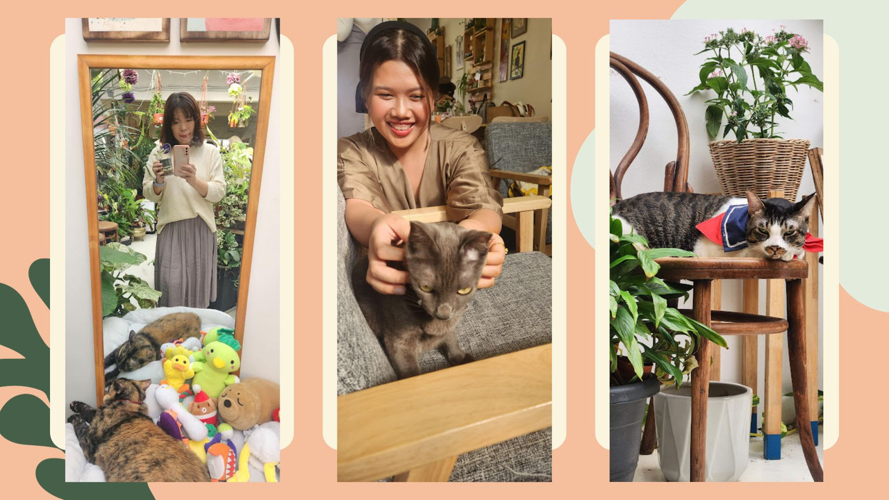 Looking forward to a briht and magical year! (5)