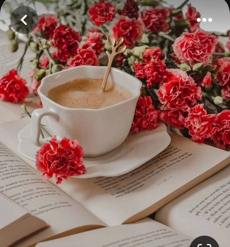 Screenshot_20230717_221552_Pinterest