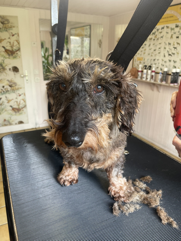 [Image: IMG-5967.jpg]