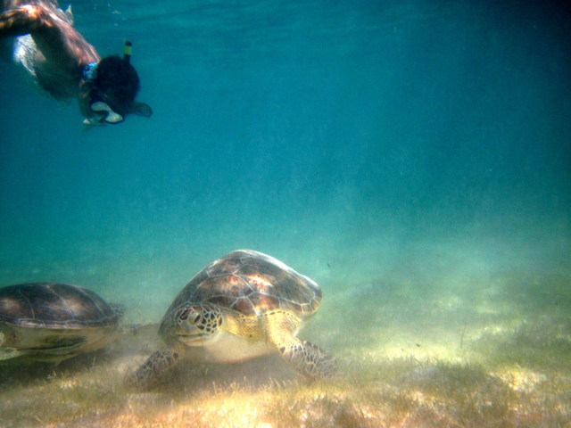 Excursiones por libre en Riviera Maya - Mexico - Foro Riviera Maya y Caribe Mexicano