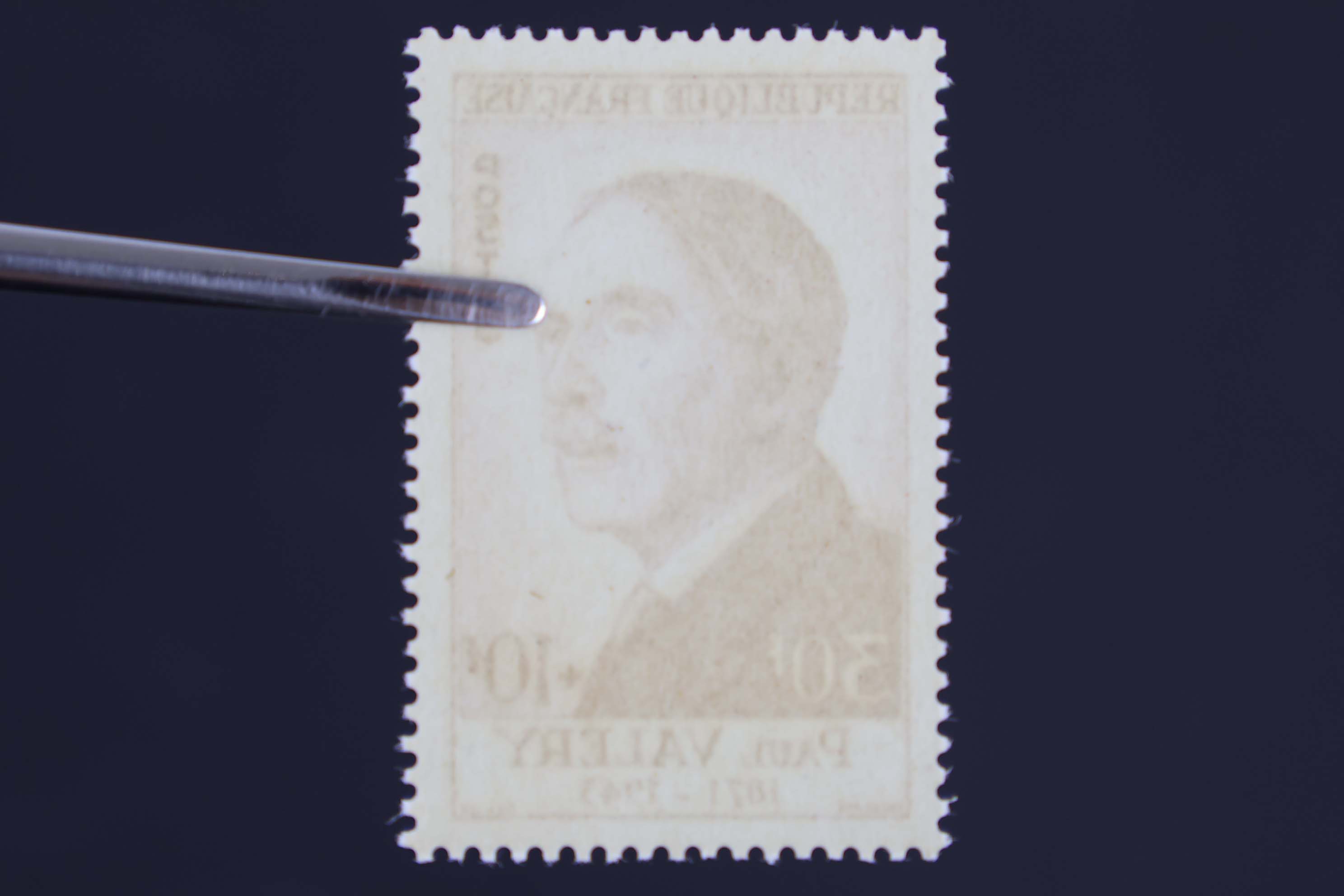 IMG-1898