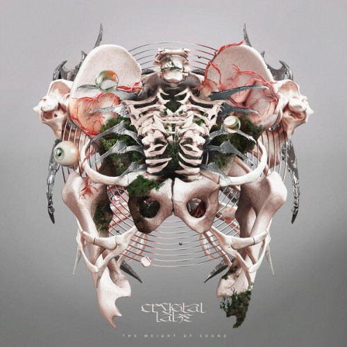 Crystal-Lake-The-Weight-of-Sound-24BIT-48KHZ-WEB-FLAC-2026-FLACCi-D.jpg