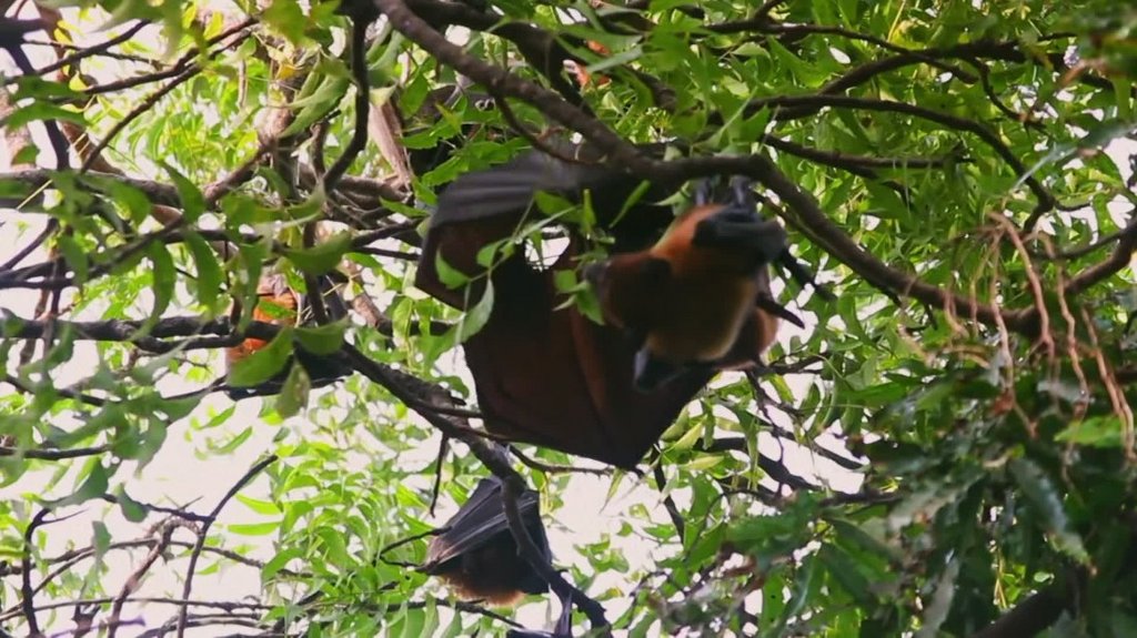 [Image: dmne9r09me3e.jpg]