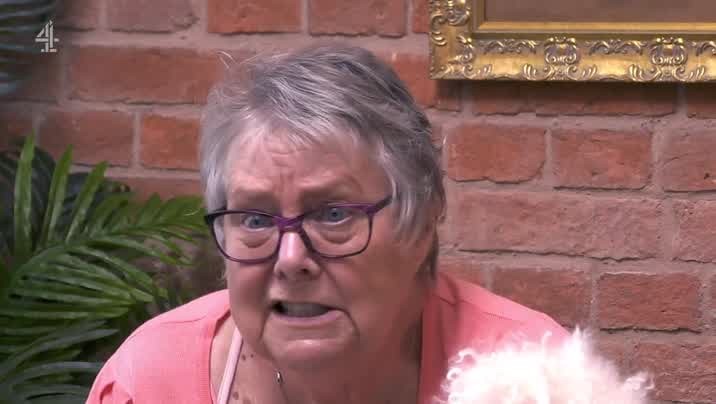 [Image: 5q5rrzwu3c4z.jpg]