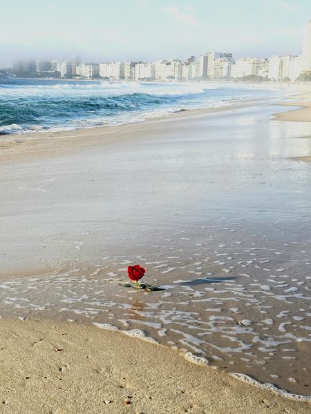 В джазе только девушки или аргентинско-бразильский калейдоскоп В джазе только девушки или аргентинско-бразильский калейдоскоп