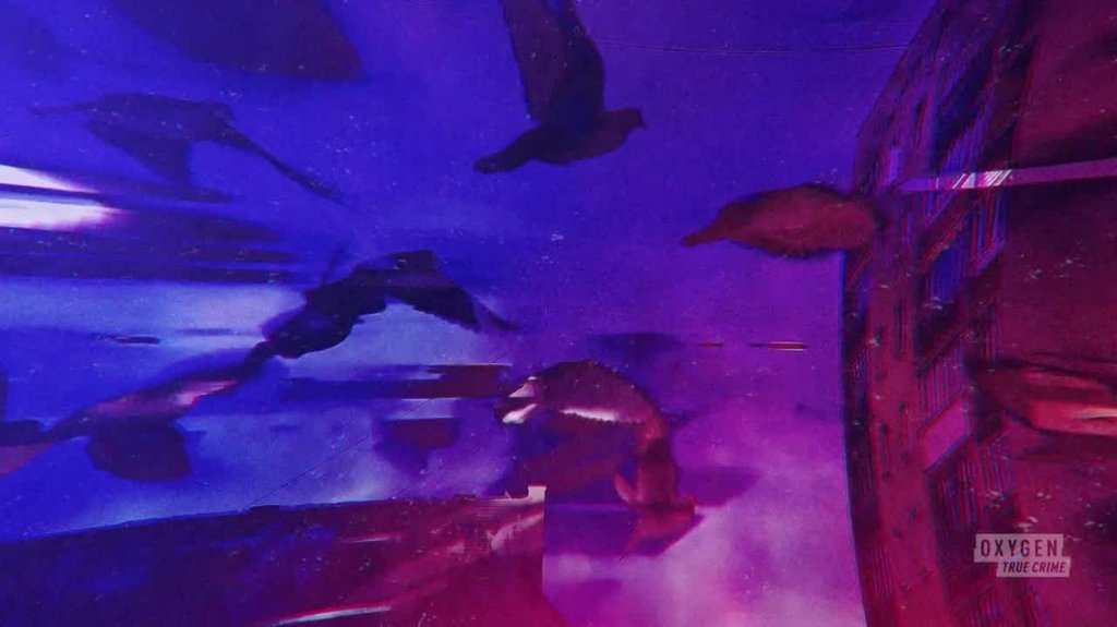 [Image: fddx3749rimp.jpg]