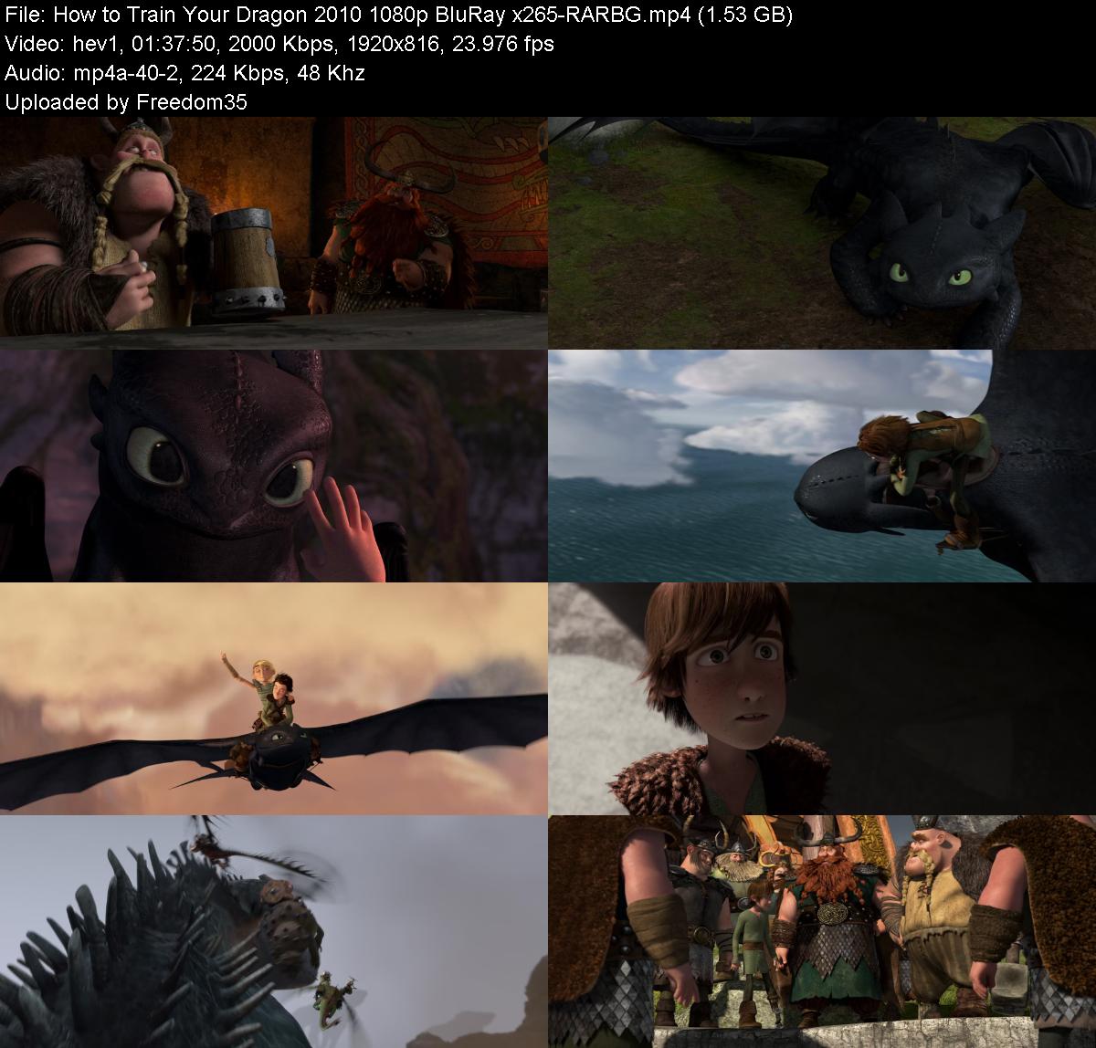 How-to-Train-Your-Dragon-2010-1080p-Blu-