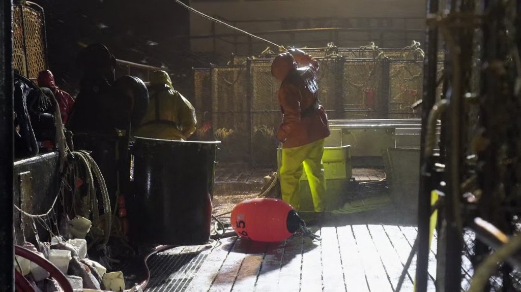 [Image: th4ob1pgf58i.jpg]