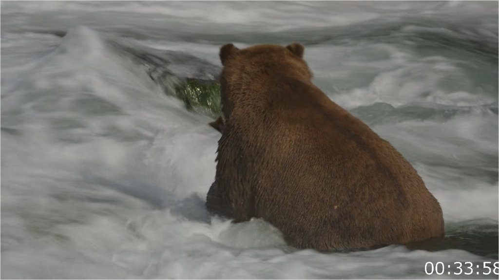 [Image: 0ziep1f6id6p.png]