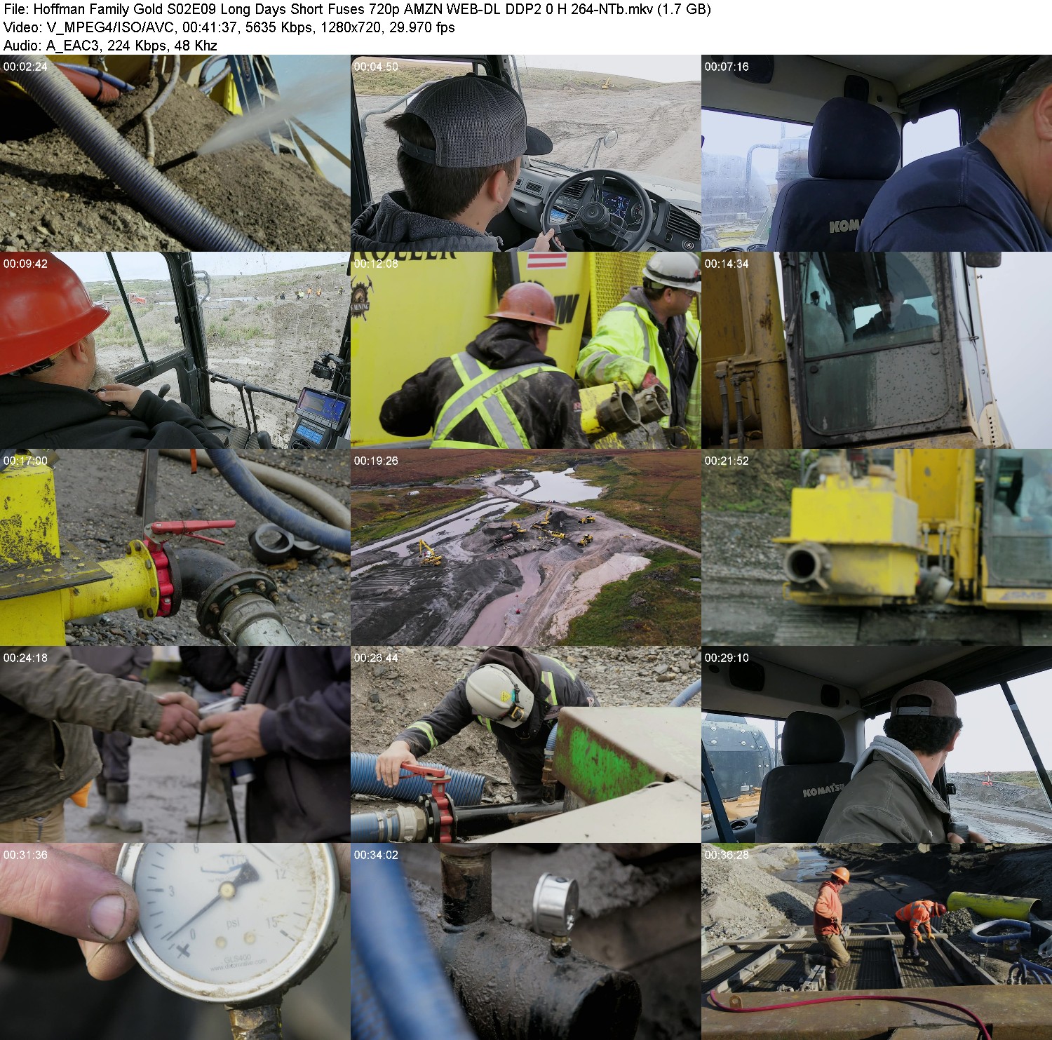 [Image: ln0b5jlx9y3d.jpg]