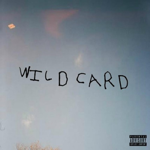 ZelooperZ - Wild Card (2019)