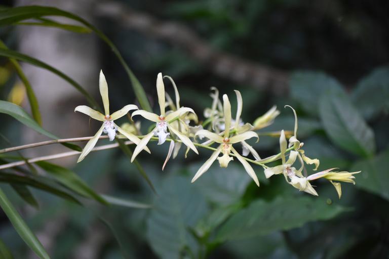В джазе только девушки или аргентинско-бразильский калейдоскоп В джазе только девушки или аргентинско-бразильский калейдоскоп