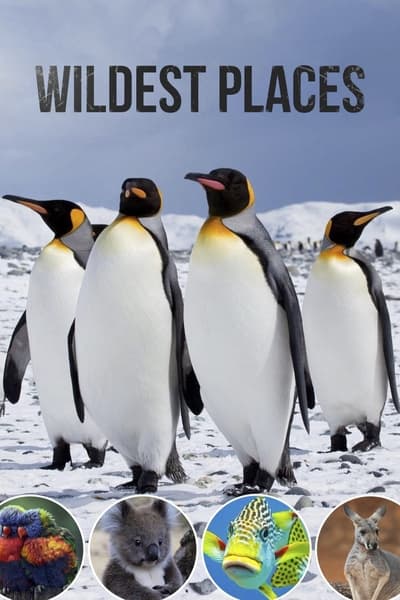 [Image: nk969wjgniv9.jpg]