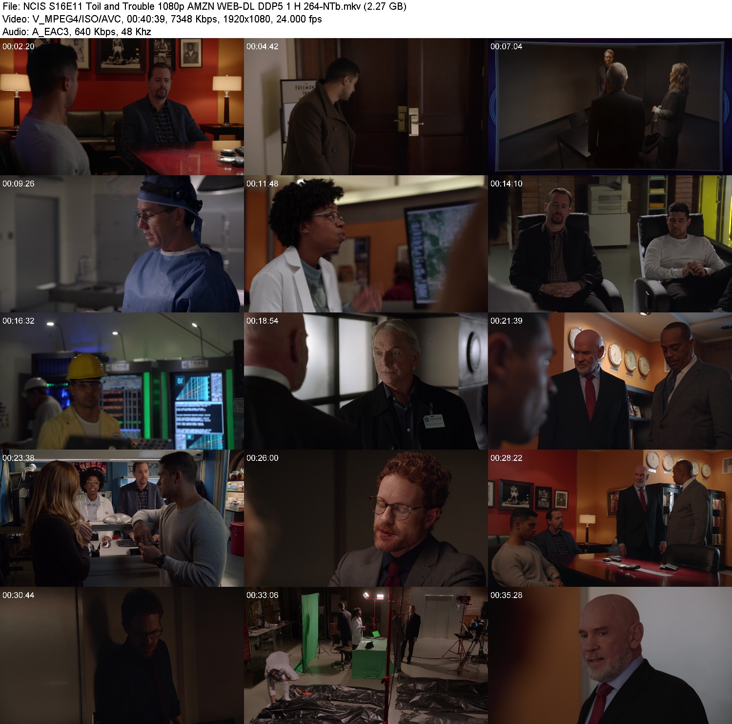 [Image: 2zsn5np1c8ss.jpg]