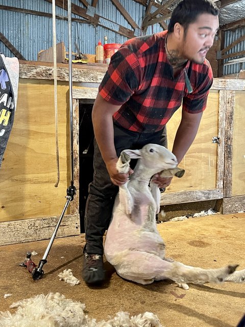 [Linked Image from i.postimg.cc]