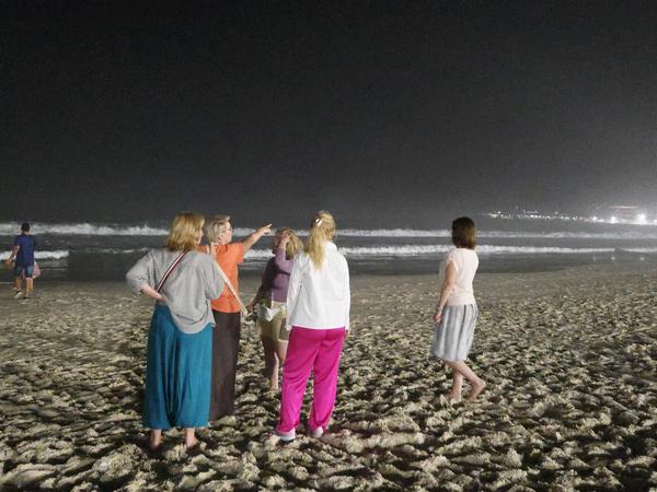 В джазе только девушки или аргентинско-бразильский калейдоскоп В джазе только девушки или аргентинско-бразильский калейдоскоп