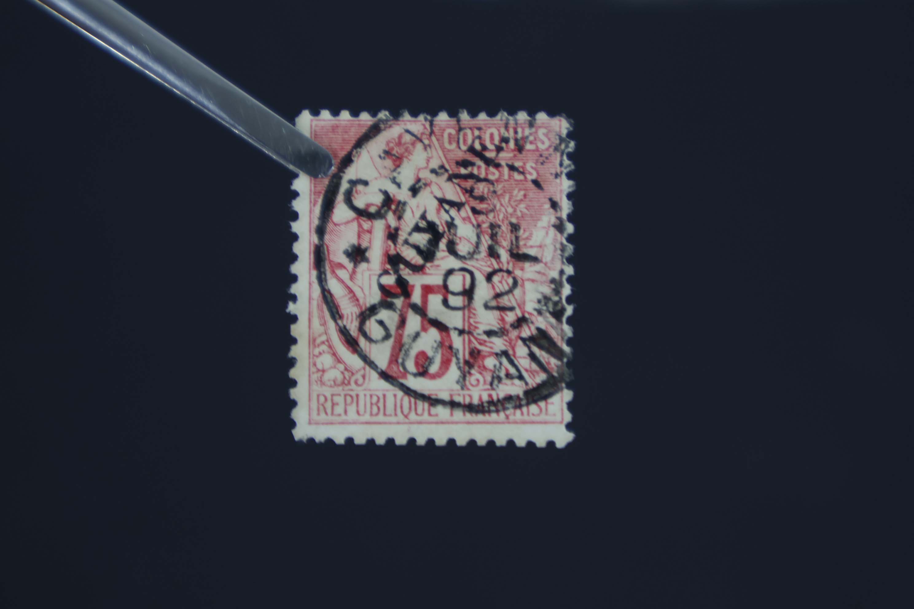 IMG-2881