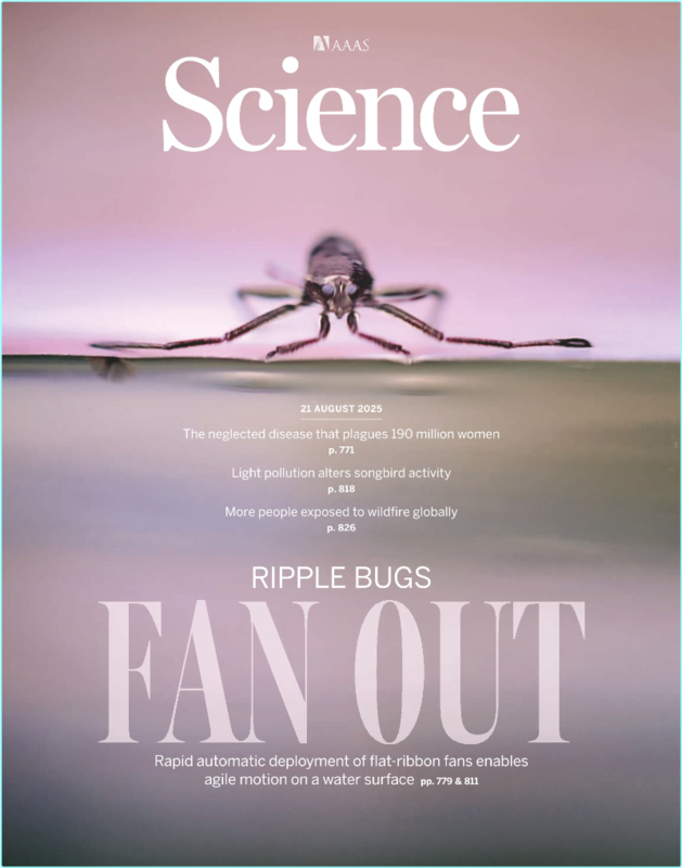 [Image: ur5su28f4egq.png]