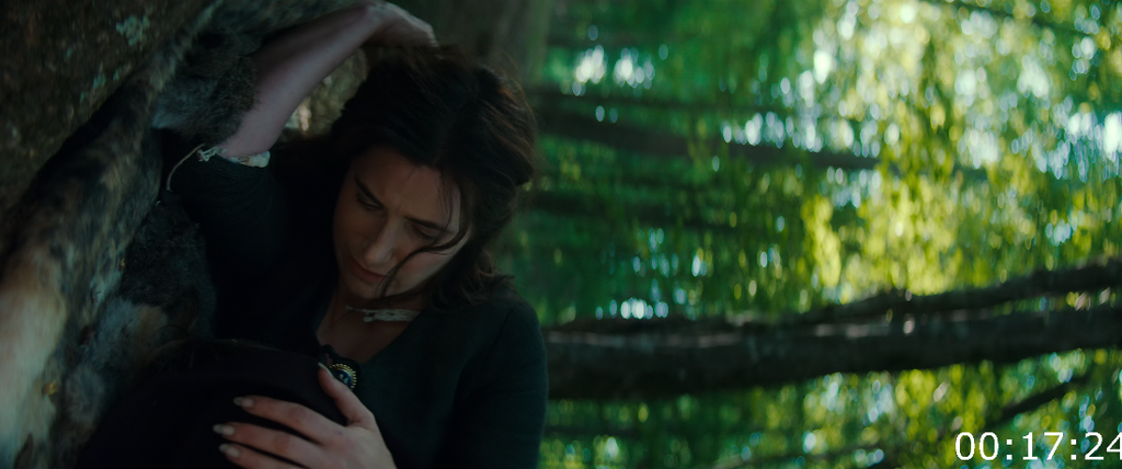 [Image: 2wbcic478jvp.png]