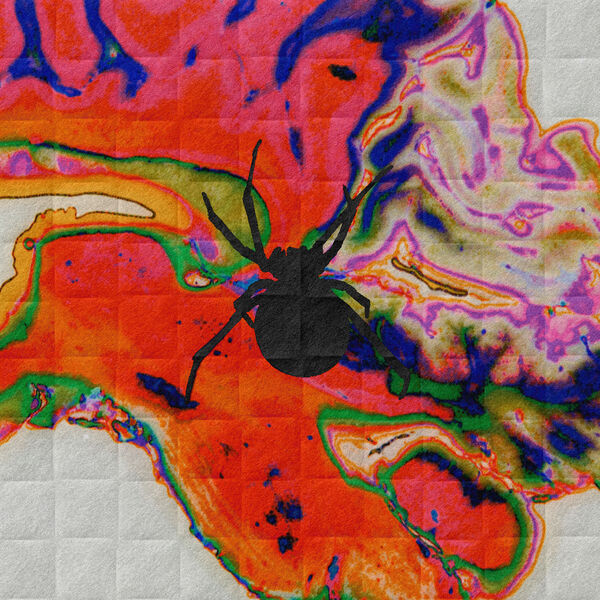 [Image: rib6pqs05f9d.jpg]