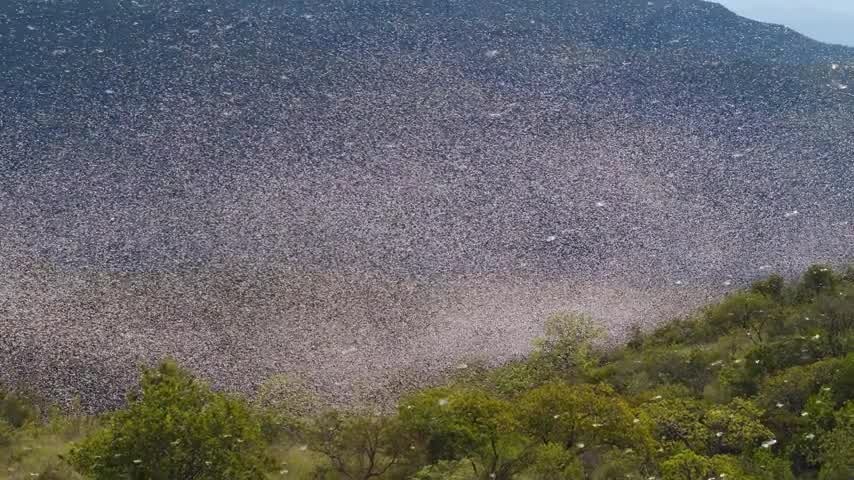 [Image: pmyrjq7k44r0.jpg]