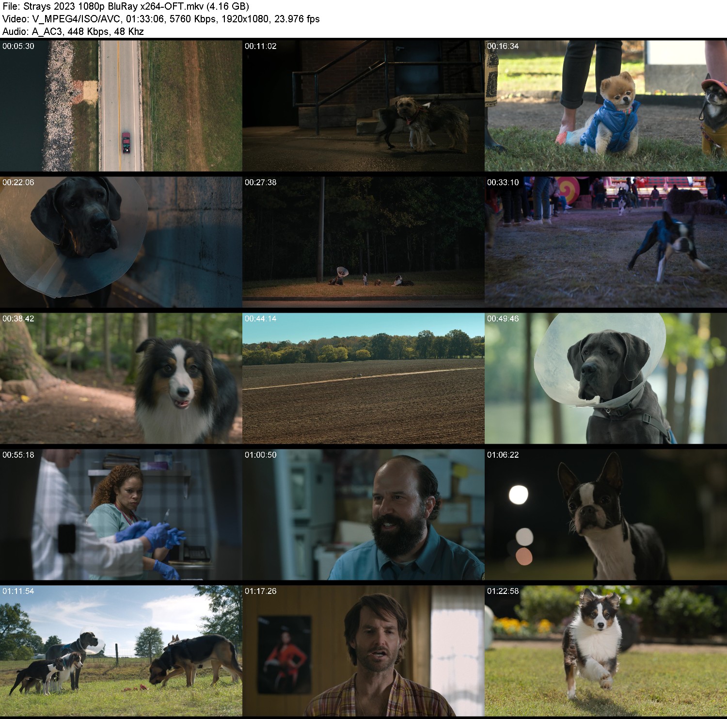 [Image: sfnuthg4262d.jpg]