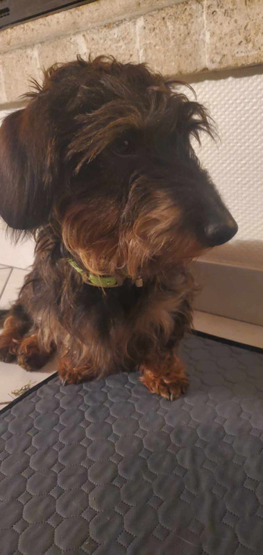 [Image: IMG-20241215-181802.jpg]