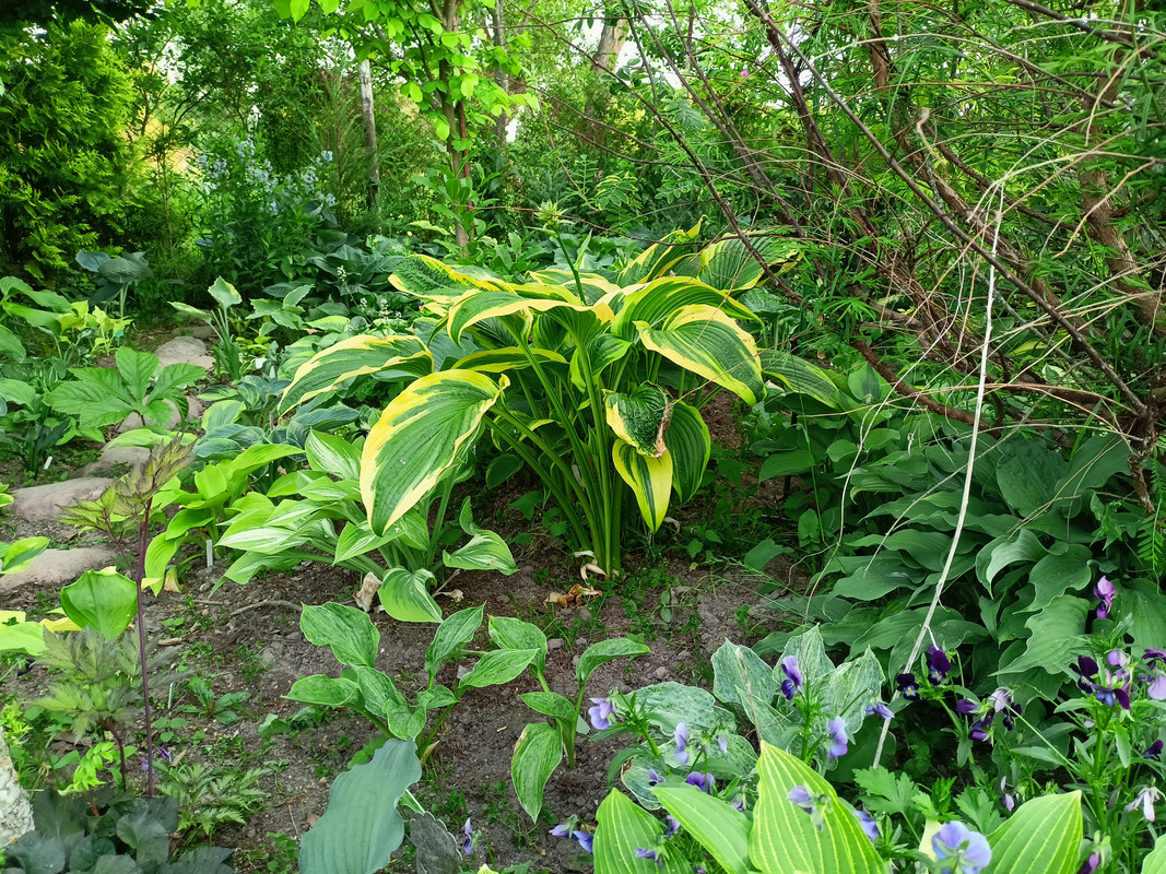 IMG-64ee102612c3f71685b6005272b5cc61-V
