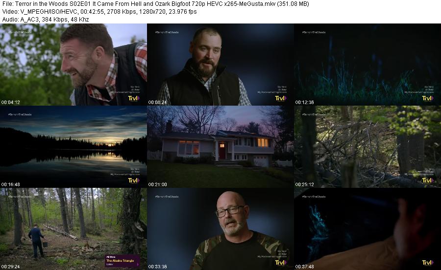 Terror in the Woods S02E01 It Came From Hell and Ozark Bigfoot 720p HEVC x265-MeGusta Terror in the Woods S02E01 It Came From Hell and Ozark Bigfoot 720p HEVC x265-MeGusta
