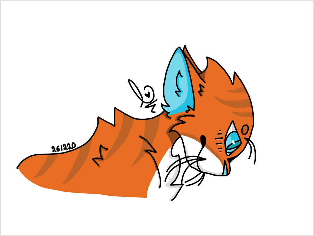 canvas-1.png