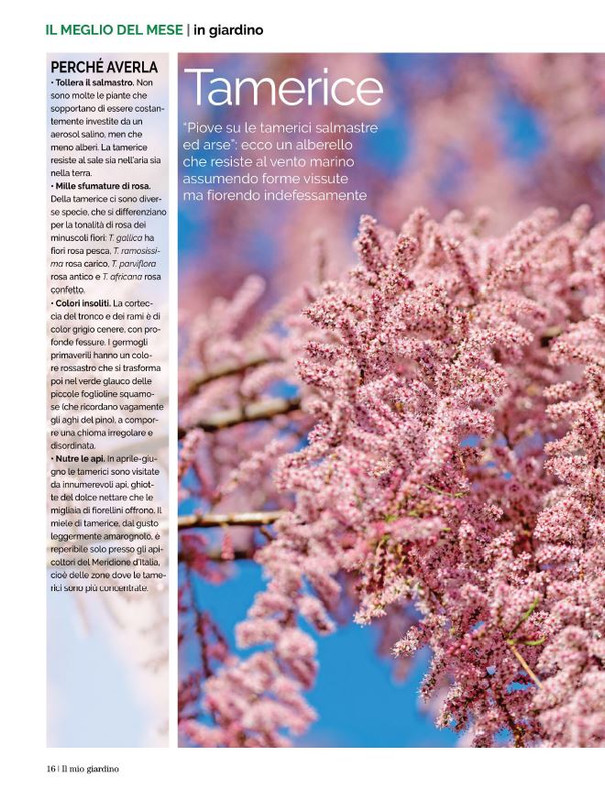 Il Mio Giar GIu-Lug 2022 (1)