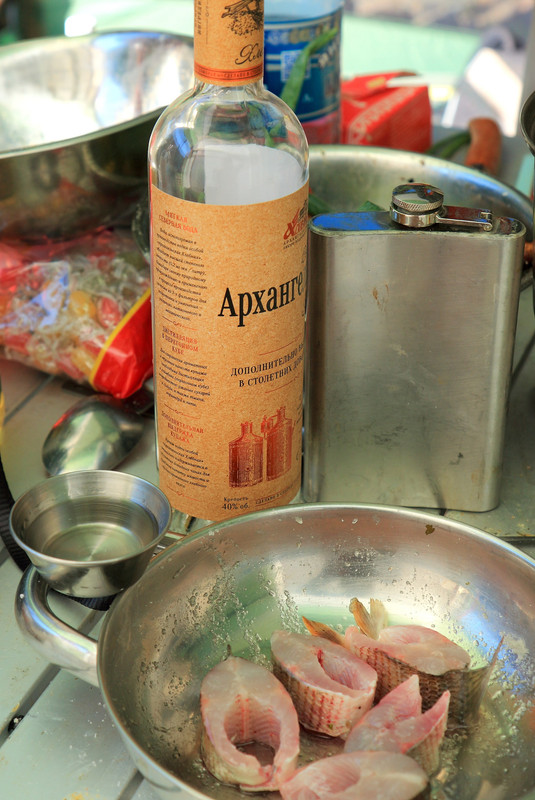 IMG_2581 (2105 x 3147)