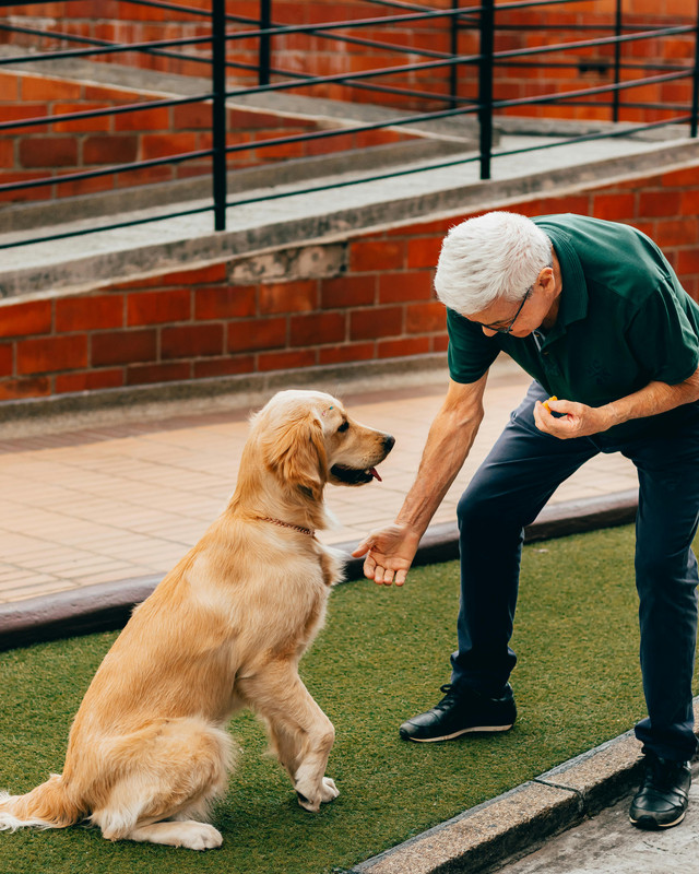 Policies on Pets in Assisted Living Facilities