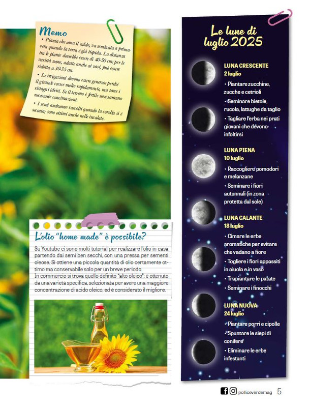 Pol Ver Lug 2025 (2)