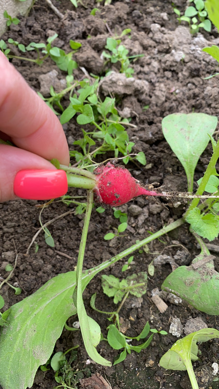 3BA17C34-D088-459F-AD05-6C76040B0B37