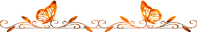 Bar-Butterfly-2-Orange
