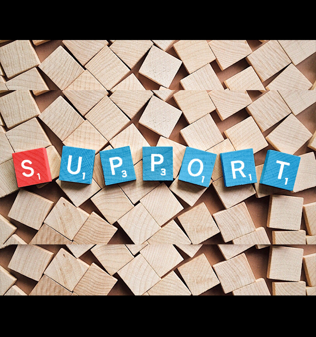 الدعم الفني والتقني (Technical Support)
